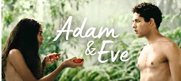 AvantAdam